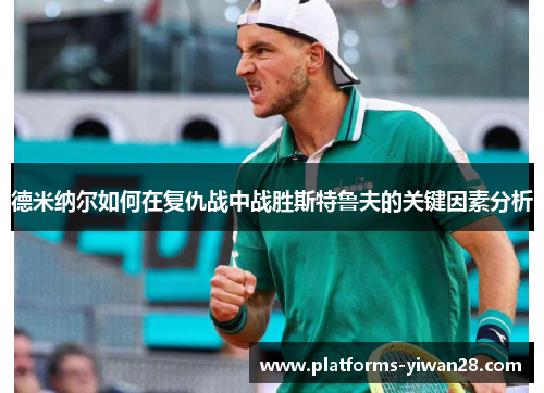 德米纳尔如何在复仇战中战胜斯特鲁夫的关键因素分析