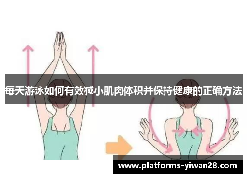每天游泳如何有效减小肌肉体积并保持健康的正确方法
