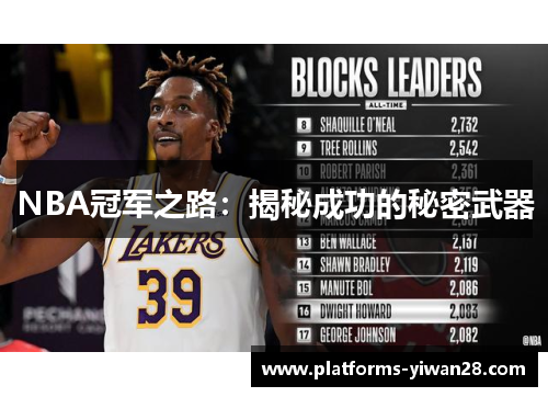 NBA冠军之路：揭秘成功的秘密武器