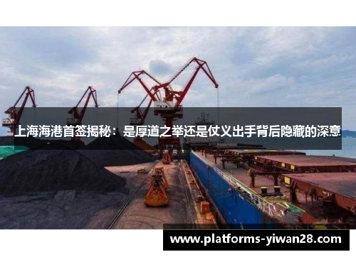 上海海港首签揭秘：是厚道之举还是仗义出手背后隐藏的深意