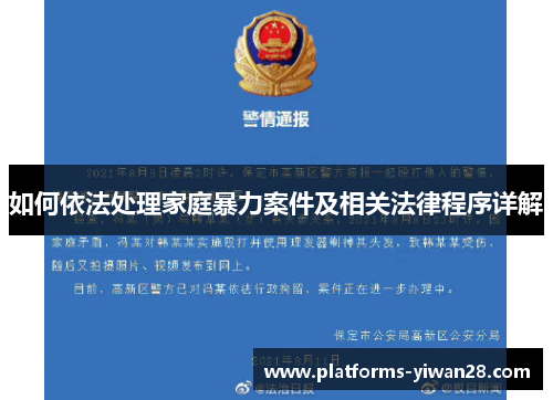 如何依法处理家庭暴力案件及相关法律程序详解