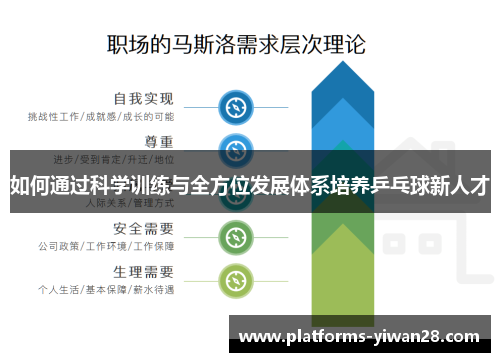 如何通过科学训练与全方位发展体系培养乒乓球新人才