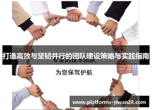 打造高效与坚韧并行的团队建设策略与实践指南