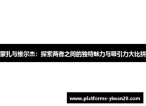 蒙扎与维尔杰：探索两者之间的独特魅力与吸引力大比拼