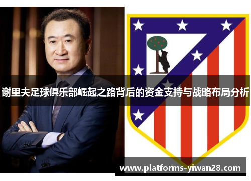 谢里夫足球俱乐部崛起之路背后的资金支持与战略布局分析 谢里夫足球俱乐部崛起之路背后的资金支持与战略布局分析