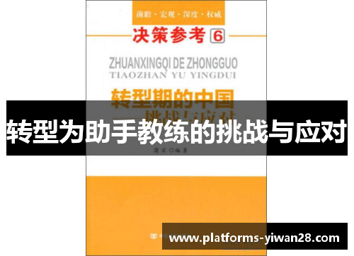 转型为助手教练的挑战与应对
