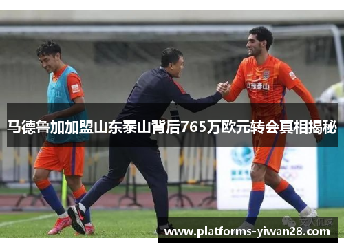 马德鲁加加盟山东泰山背后765万欧元转会真相揭秘
